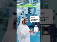 MPPT VFD Solar Pump Inverter yang Berjalan Otomatis Populer di Mesir!