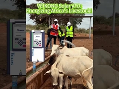 3phase 99,999% MPPT VFD Solar Pump Inverter Kabar baik dari klien di Kenya
