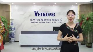 Jelaskan asal biaya harga PKS VEIKONG