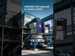 VEIKONG VFD dalam penghancur vertikal